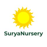 Best Plant Nursery in Chandigarh | Surya Nursery