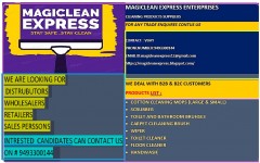 Magicleanexpress